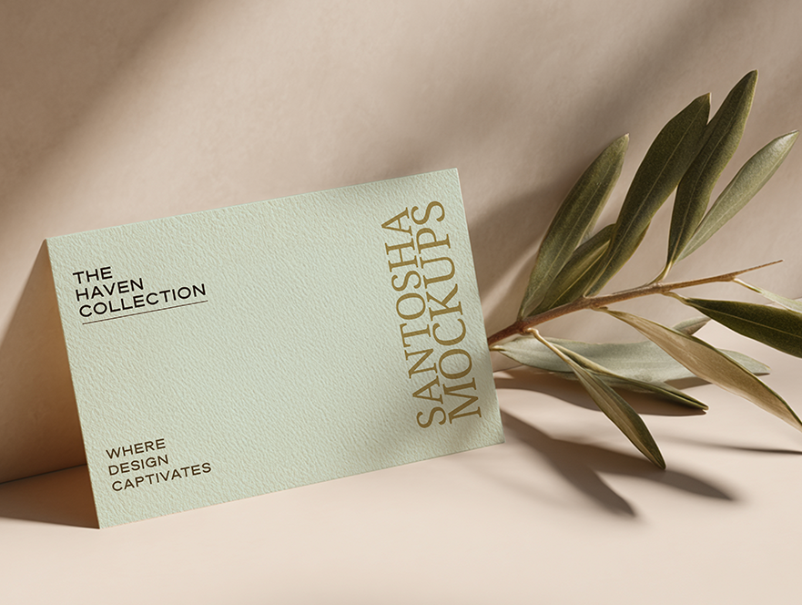 Studio Santosha HAVEN Collection card mockup with olive branch and warm natural shadows on a neutral surface.