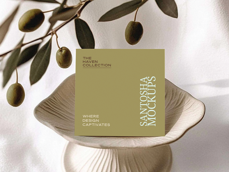 Studio Santosha HAVEN Collection square card mockup styled on a sculptural ceramic plate with olive branch shadows and soft natural light.