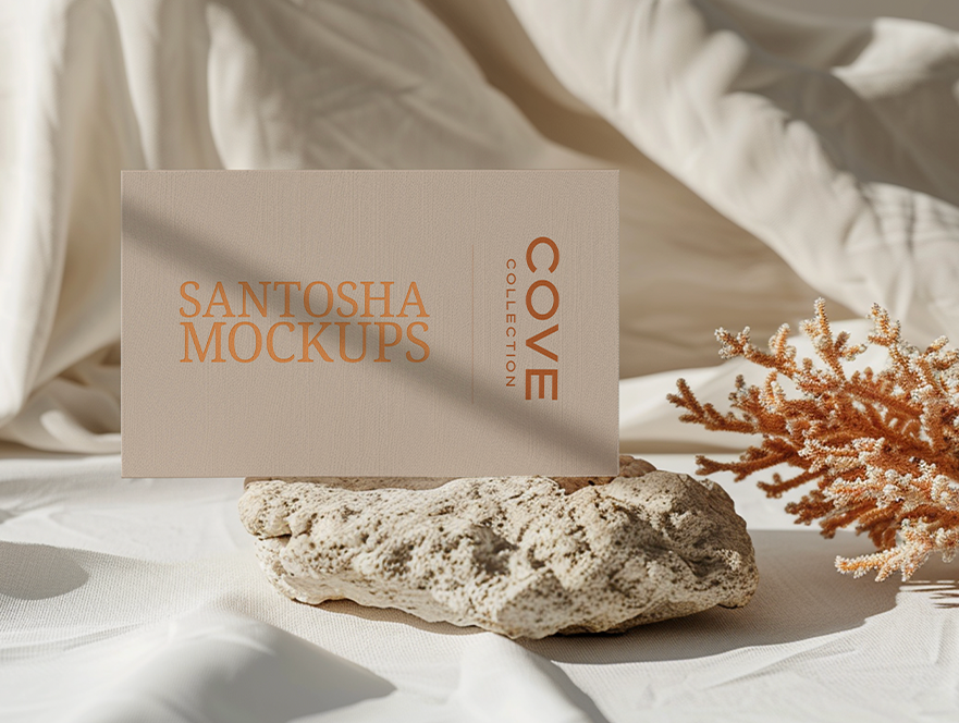 Cove Collection business card mockup by Studio Santosha, displayed on a textured coral rock with soft fabric backdrop and orange coral branch accent